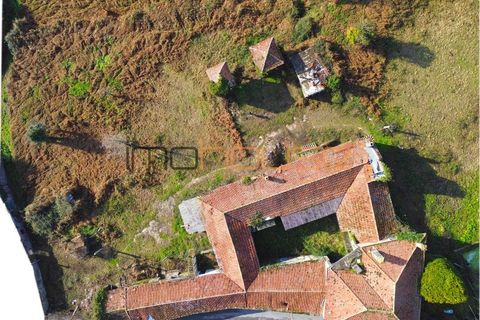 Terra a Lobao, Aveiro, Lobao - € 450.000 | Ref: 00582FR-1 - foto 3