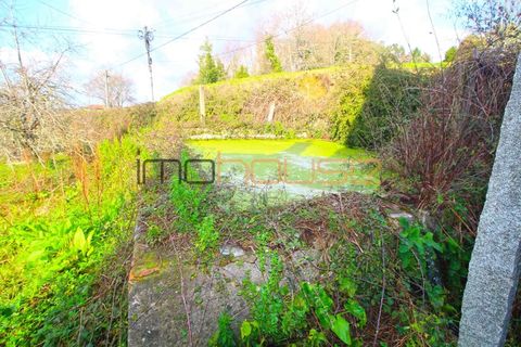 Terra a Lobao, Aveiro, Lobao - € 450.000 | Ref: 00582FR-1 - foto 4