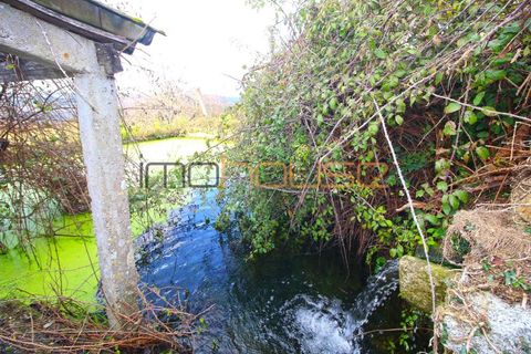 Terra a Lobao, Aveiro, Lobao - € 450.000 | Ref: 00582FR-1 - foto 5