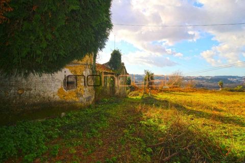 Terra a Lobao, Aveiro, Lobao - € 450.000 | Ref: 00582FR-1 - foto 6