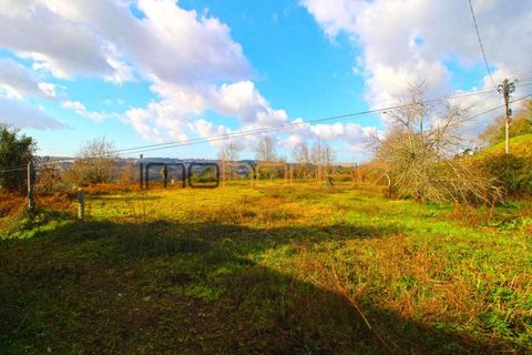 Terra a Lobao, Aveiro, Lobao - € 450.000 | Ref: 00582FR-1 - foto 7