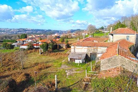 Terra a Lobao, Aveiro, Lobao - € 450.000 | Ref: 00582FR-1 - foto 11