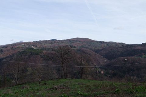 Landejendom i Dicomano, Florence, Dicomano - € 170.000 | Ref: a6273rc2535044a - foto 25