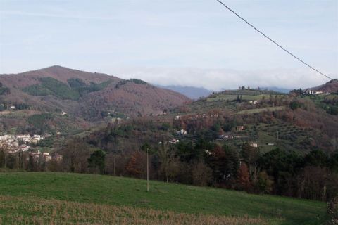 Landejendom i Dicomano, Florence, Dicomano - € 170.000 | Ref: a6273rc2535044a - foto 26