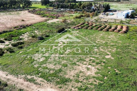 Helårsgrund i Los Alcazares, Murcia - foto 3