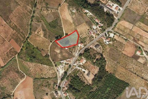 Helårsgrund i Cadaval, Lisbon, Cadaval - € 59.000 | Ref: 786551 - foto 4