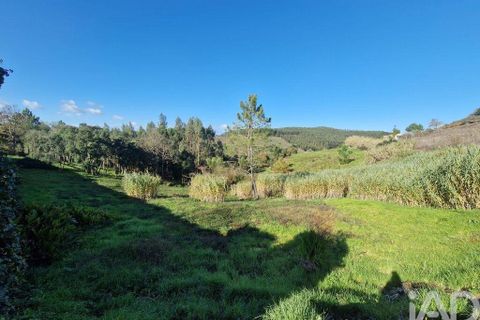 Helårsgrund i Cadaval, Lisbon, Cadaval - € 59.000 | Ref: 786551 - foto 7