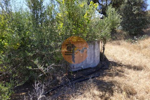 Villa i Castro Marim, Faro, Castro Marim - € 380.000 | Ref: SU-CS-MI-94173 - foto 21