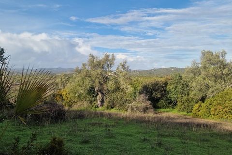 Villa a Moncarapacho, Faro, Moncarapacho - € 695.000 | Ref: MV610 - foto 26