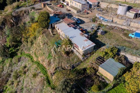 Villa i Bordighera, Imperia, Bordighera - € 450.000 | Ref: 5938 - foto 7