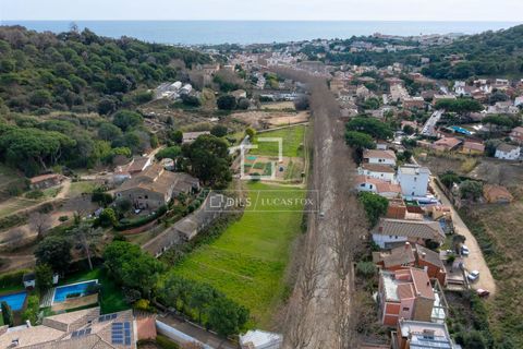 Terra a Teia, Barcelona, Teia - € 1.200.000 | Ref: MRS65342 - foto 4
