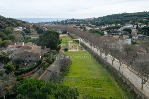 Terra a Teia, Barcelona, Teia - € 1.200.000 | Ref: MRS65342 - foto 5