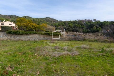 Terra a Teia, Barcelona, Teia - € 1.200.000 | Ref: MRS65342 - foto 6