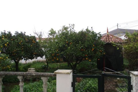 Farm i Estremoz, Evora, Estremoz - € 455.000 | Ref: JG579 - foto 2