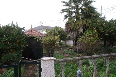 Farm i Estremoz, Evora, Estremoz - € 455.000 | Ref: JG579 - foto 33