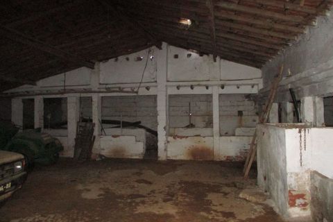 Farm i Estremoz, Evora, Estremoz - € 455.000 | Ref: JG579 - foto 41