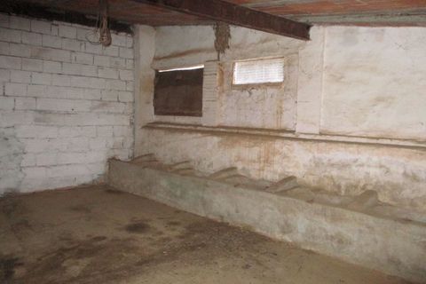 Farm i Estremoz, Evora, Estremoz - € 455.000 | Ref: JG579 - foto 42