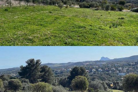 Helårsgrund i Sotogrande, Cadiz, Sotogrande - € 885.000 | Ref: CA-SO-160126/7965 - foto 2