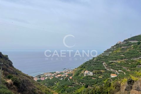 Helårsgrund i Ribeira Brava, Madeira, Ribeira Brava - € 295.000 | Ref: 3283 - foto 1