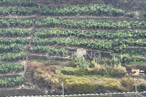 Helårsgrund i Ribeira Brava, Madeira, Ribeira Brava - € 295.000 | Ref: 3283 - foto 2