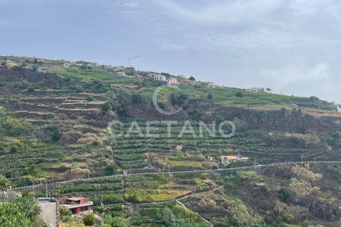 Helårsgrund i Ribeira Brava, Madeira, Ribeira Brava - € 295.000 | Ref: 3283 - foto 15