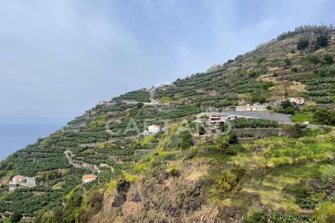 Helårsgrund i Ribeira Brava, Madeira, Ribeira Brava - € 295.000 | Ref: 3283 - foto 16