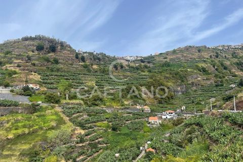 Helårsgrund i Ribeira Brava, Madeira, Ribeira Brava - € 295.000 | Ref: 3283 - foto 17
