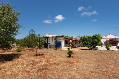 Villa i Paderne, Faro, Paderne - € 995.000 | Ref: City-24-59A - foto 45