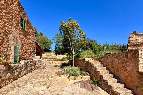 Finca i Manacor, Mallorca, Manacor - € 2.000.000 | Ref: BI-09F-01S - foto 13