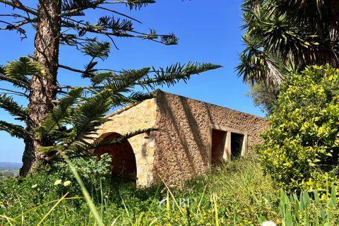 Finca i Manacor, Mallorca, Manacor - € 2.000.000 | Ref: BI-09F-01S - foto 18