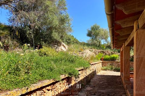 Finca i Manacor, Mallorca, Manacor - € 2.000.000 | Ref: BI-09F-01S - foto 15