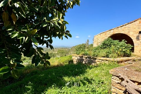 Finca i Manacor, Mallorca, Manacor - € 2.000.000 | Ref: BI-09F-01S - foto 16