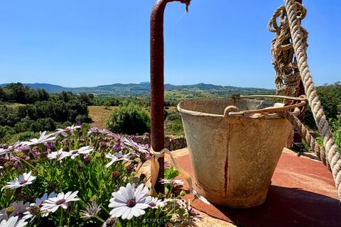 Finca i Manacor, Mallorca, Manacor - € 2.000.000 | Ref: BI-09F-01S - foto 8