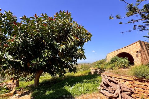 Finca i Manacor, Mallorca, Manacor - € 2.000.000 | Ref: BI-09F-01S - foto 11