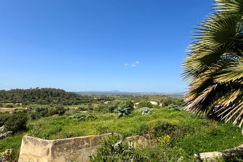 Finca i Manacor, Mallorca, Manacor - € 2.000.000 | Ref: BI-09F-01S - foto 21