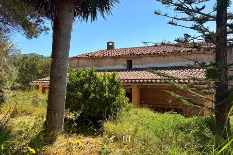 Finca i Manacor, Mallorca, Manacor - € 2.000.000 | Ref: BI-09F-01S - foto 20