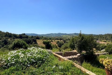 Finca i Manacor, Mallorca, Manacor - € 2.000.000 | Ref: BI-09F-01S - foto 22