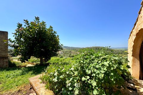 Finca i Manacor, Mallorca, Manacor - € 2.000.000 | Ref: BI-09F-01S - foto 17