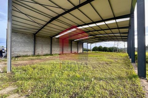Erhvervsejendom i Vila Verde, Braga, Vila Verde - € 630.000 | Ref: 08767 - foto 9