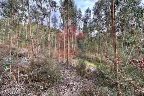 Helårsgrund i Vila Verde, Braga, Vila Verde - € 60.000 | Ref: 08765 - foto 3