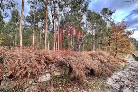 Helårsgrund i Vila Verde, Braga, Vila Verde - € 60.000 | Ref: 08765 - foto 8