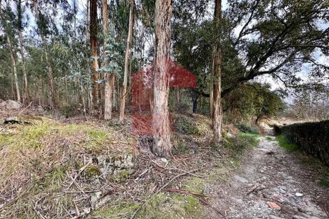 Helårsgrund i Vila Verde, Braga, Vila Verde - € 60.000 | Ref: 08765 - foto 9