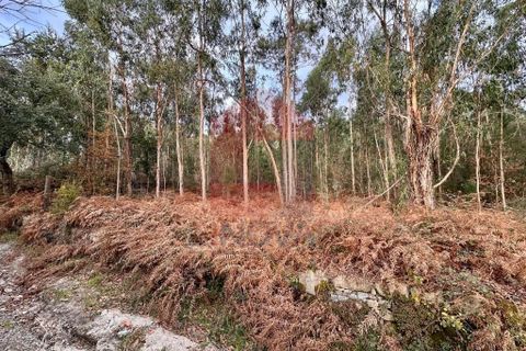 Helårsgrund i Vila Verde, Braga, Vila Verde - € 60.000 | Ref: 08765 - foto 10