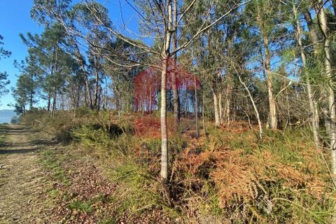 Helårsgrund i Vila Verde, Braga, Vila Verde - € 105.000 | Ref: 08766 - foto 4