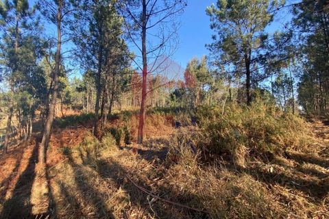 Helårsgrund i Vila Verde, Braga, Vila Verde - € 105.000 | Ref: 08766 - foto 5