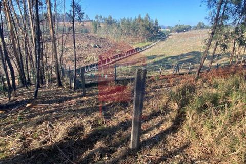 Helårsgrund i Vila Verde, Braga, Vila Verde - € 105.000 | Ref: 08766 - foto 9