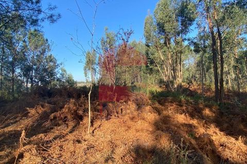 Helårsgrund i Vila Verde, Braga, Vila Verde - € 105.000 | Ref: 08766 - foto 10