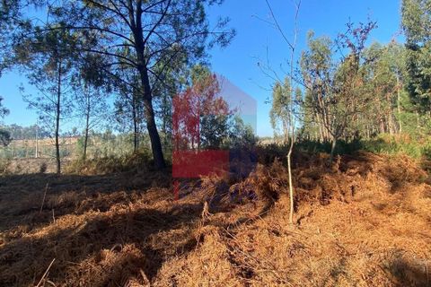 Helårsgrund i Vila Verde, Braga, Vila Verde - € 105.000 | Ref: 08766 - foto 11