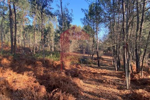 Helårsgrund i Vila Verde, Braga, Vila Verde - € 105.000 | Ref: 08766 - foto 12