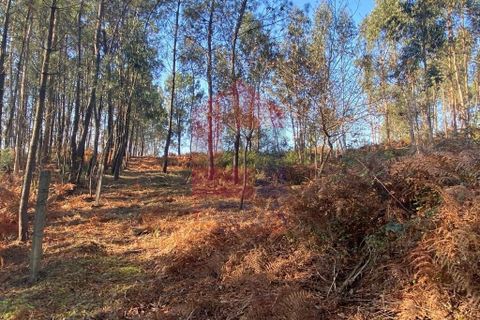 Helårsgrund i Vila Verde, Braga, Vila Verde - € 105.000 | Ref: 08766 - foto 13